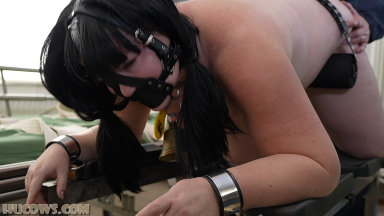 Hucows.com - Breeding Samantha Kiss