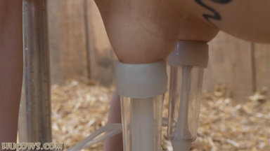 Hucows.com - Kiki – fucking machine