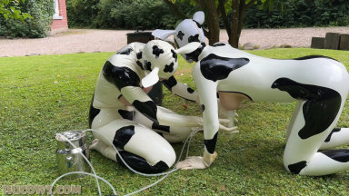 Hucows.com - Anc1lla & Miss Fetilicious – latex hucows outdoors